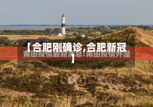 【合肥刚确诊,合肥新冠】-第3张图片