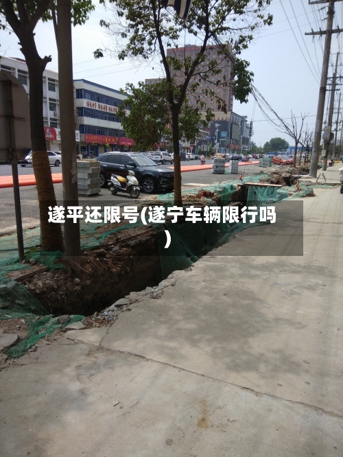 遂平还限号(遂宁车辆限行吗)-第2张图片