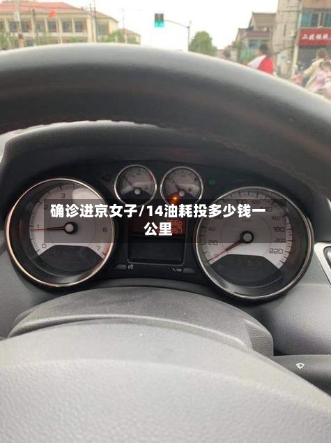 确诊进京女子/14油耗投多少钱一公里