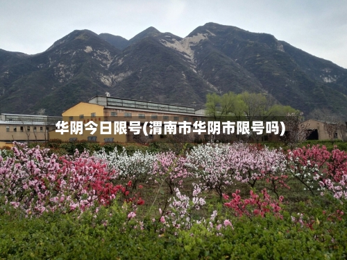 华阴今日限号(渭南市华阴市限号吗)-第2张图片