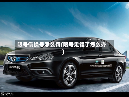 限号偷换号怎么罚(限号走错了怎么办)-第3张图片