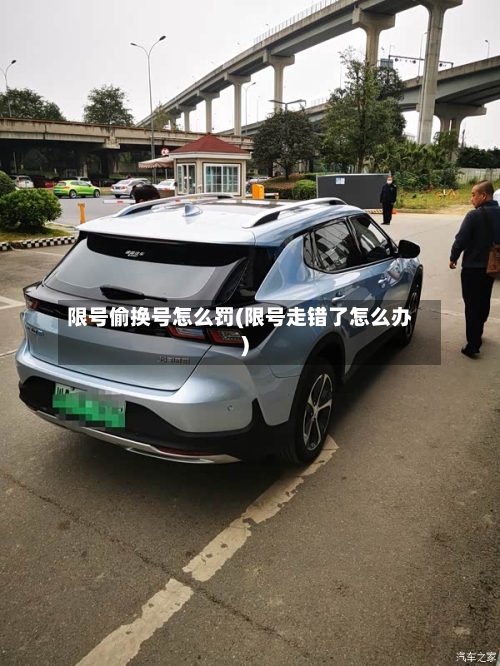 限号偷换号怎么罚(限号走错了怎么办)-第2张图片