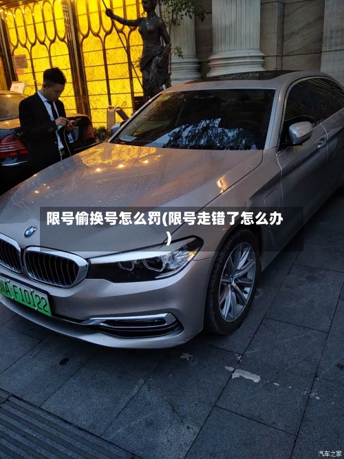 限号偷换号怎么罚(限号走错了怎么办)