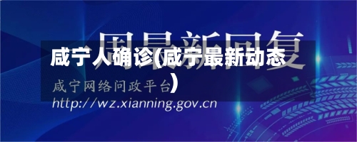 咸宁人确诊(咸宁最新动态)-第3张图片