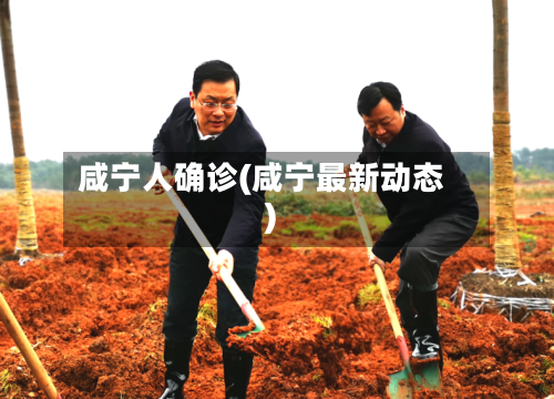咸宁人确诊(咸宁最新动态)