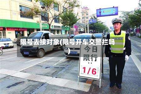 限号去接对象(限号开车交警拦吗)-第2张图片