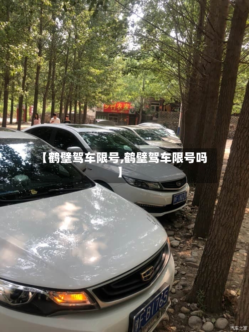 【鹤壁驾车限号,鹤壁驾车限号吗】