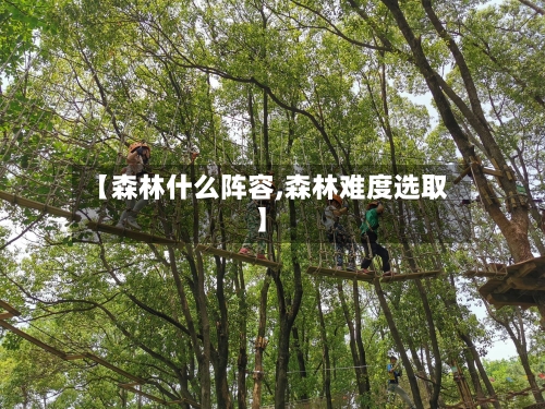 【森林什么阵容,森林难度选取】-第2张图片