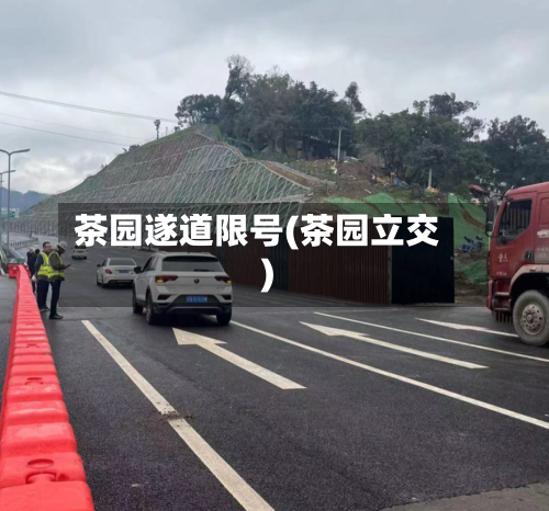 茶园遂道限号(茶园立交)