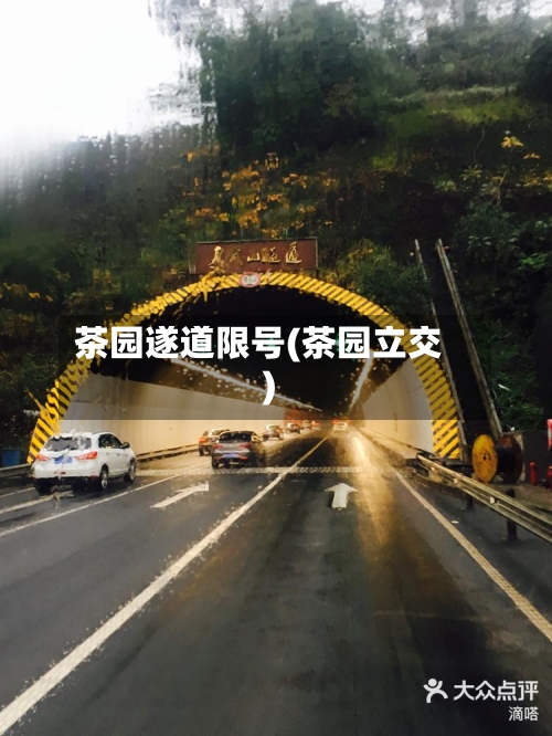 茶园遂道限号(茶园立交)-第2张图片