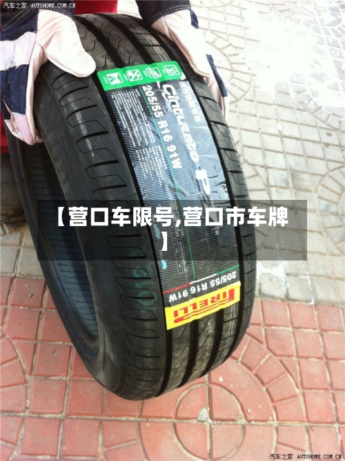 【营口车限号,营口市车牌】
