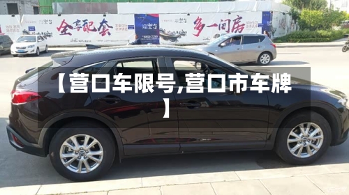 【营口车限号,营口市车牌】-第3张图片