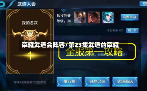 荣耀武道会阵容/第23集武道的荣耀-第2张图片