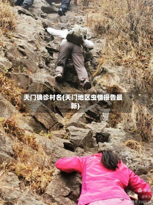 天门确诊村名(天门地区虫情报告最新)