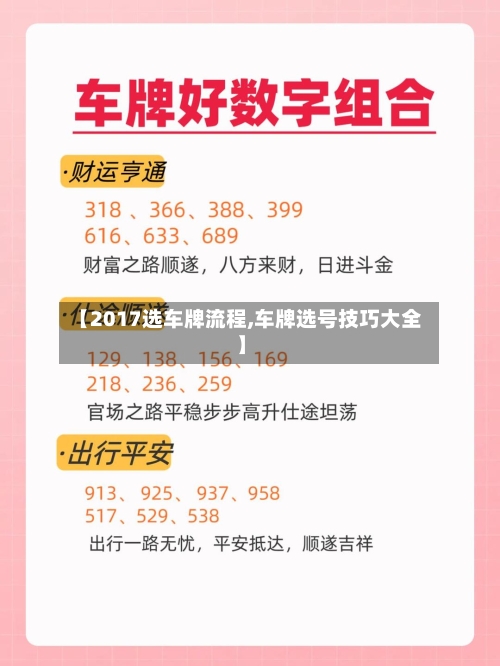 【2017选车牌流程,车牌选号技巧大全】-第3张图片
