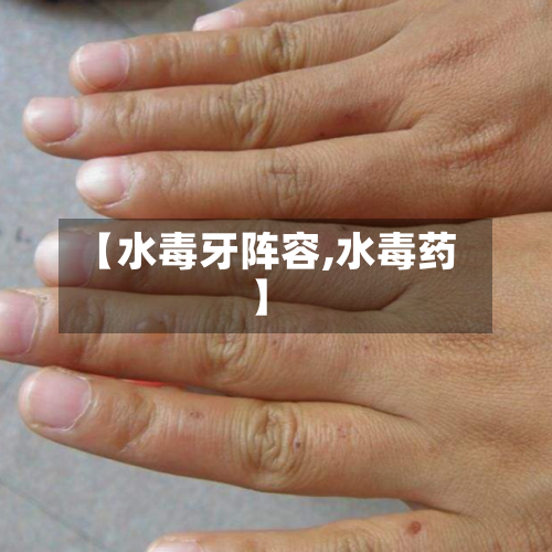 【水毒牙阵容,水毒药】-第3张图片