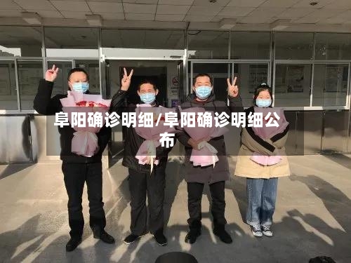 阜阳确诊明细/阜阳确诊明细公布