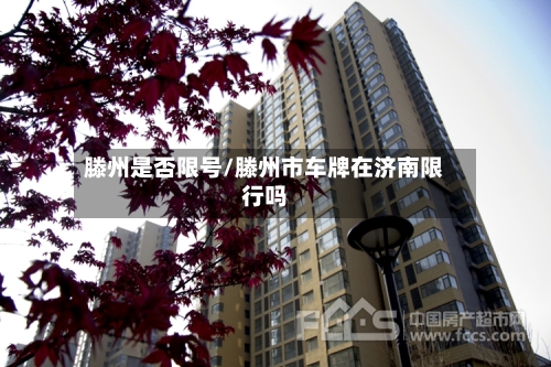 滕州是否限号/滕州市车牌在济南限行吗-第3张图片
