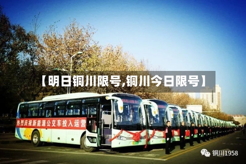 【明日铜川限号,铜川今日限号】-第3张图片