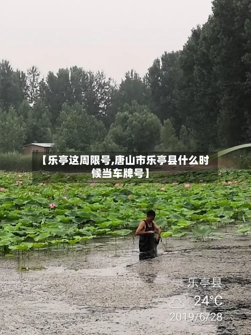 【乐亭这周限号,唐山市乐亭县什么时候当车牌号】-第2张图片