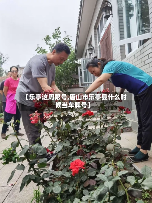 【乐亭这周限号,唐山市乐亭县什么时候当车牌号】