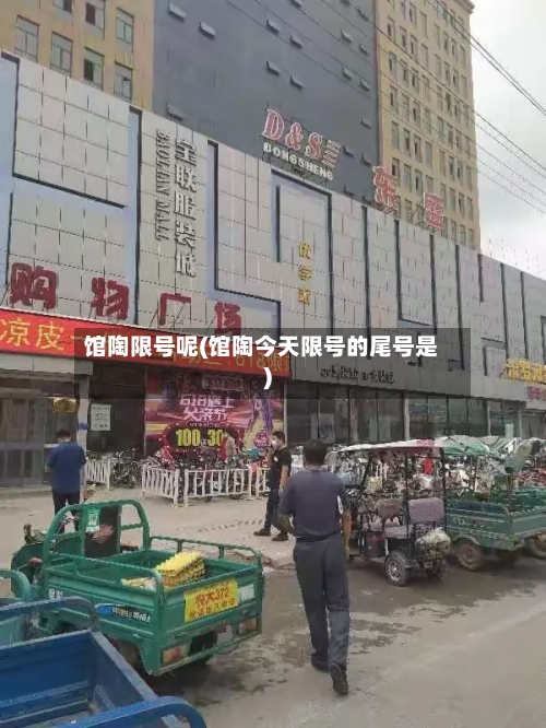 馆陶限号呢(馆陶今天限号的尾号是)-第2张图片