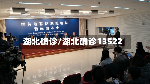 湖北确诊/湖北确诊13522-第2张图片