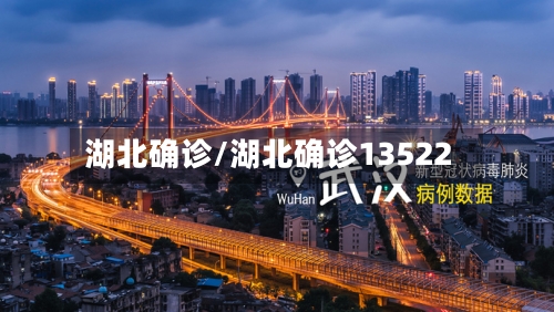 湖北确诊/湖北确诊13522-第3张图片