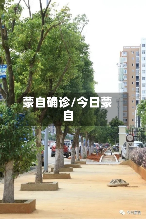 蒙自确诊/今日蒙自
