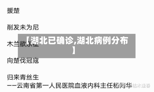 【湖北已确诊,湖北病例分布】