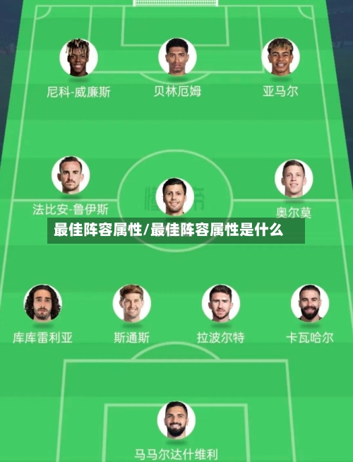 最佳阵容属性/最佳阵容属性是什么