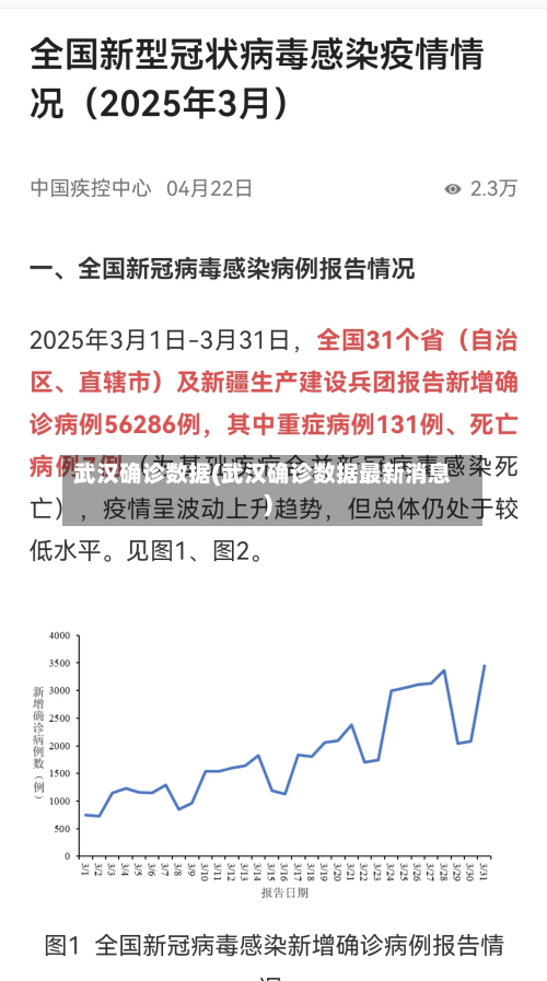 武汉确诊数据(武汉确诊数据最新消息)-第2张图片