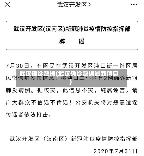 武汉确诊数据(武汉确诊数据最新消息)
