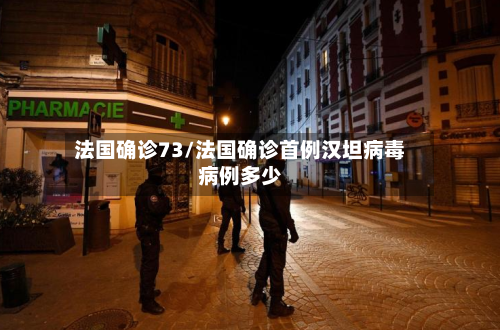 法国确诊73/法国确诊首例汉坦病毒病例多少