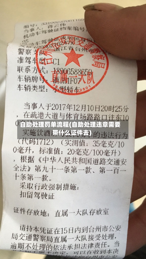 自助处理罚单流程(自助处理违章需要带什么证件去)