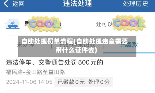 自助处理罚单流程(自助处理违章需要带什么证件去)-第2张图片