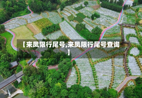 【来凤限行尾号,来凤限行尾号查询】