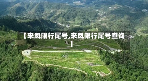 【来凤限行尾号,来凤限行尾号查询】-第2张图片