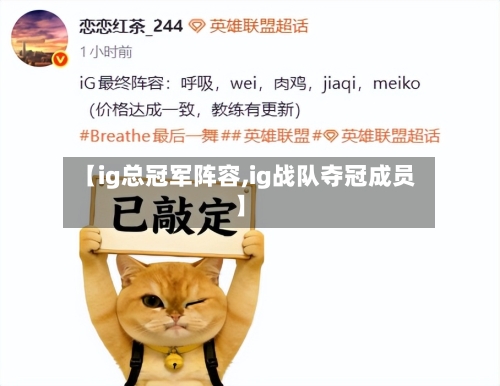 【ig总冠军阵容,ig战队夺冠成员】