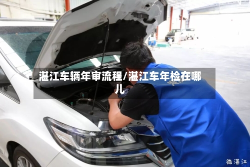 湛江车辆年审流程/湛江车年检在哪儿