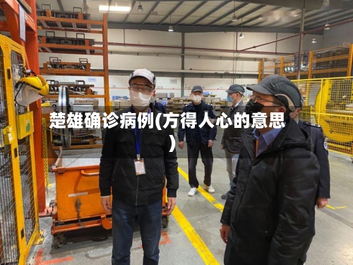 楚雄确诊病例(方得人心的意思)