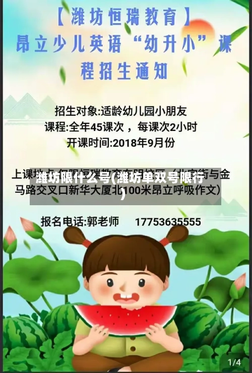 潍坊限什么号(潍坊单双号限行)