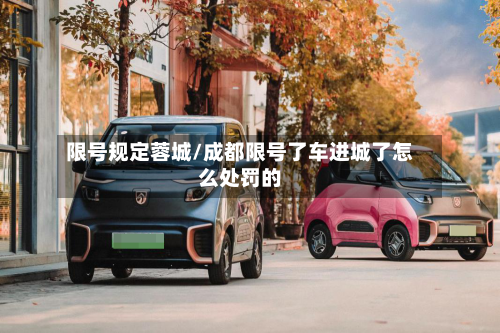 限号规定蓉城/成都限号了车进城了怎么处罚的-第3张图片