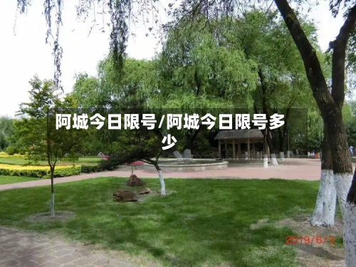 阿城今日限号/阿城今日限号多少
