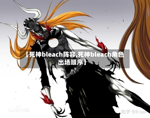 【死神bleach阵容,死神bleach角色出场顺序】