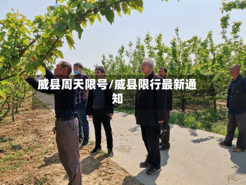 威县周天限号/威县限行最新通知-第2张图片