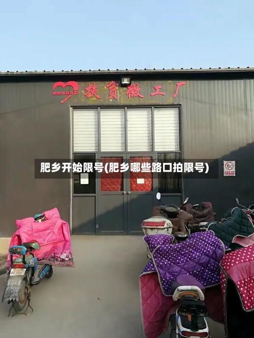 肥乡开始限号(肥乡哪些路口拍限号)
