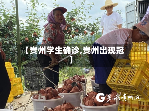 【贵州学生确诊,贵州出现冠】