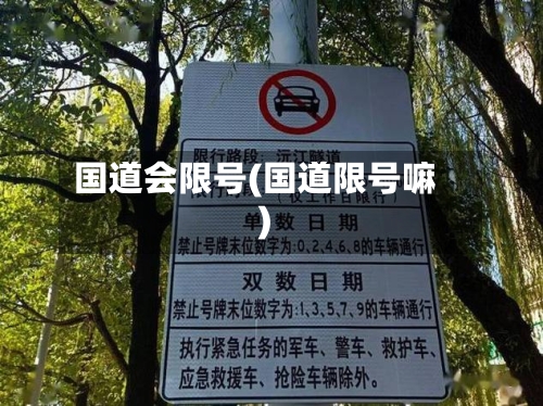 国道会限号(国道限号嘛)