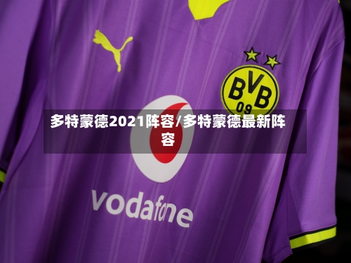多特蒙德2021阵容/多特蒙德最新阵容-第2张图片